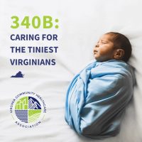 4. The Tiniest Virginians